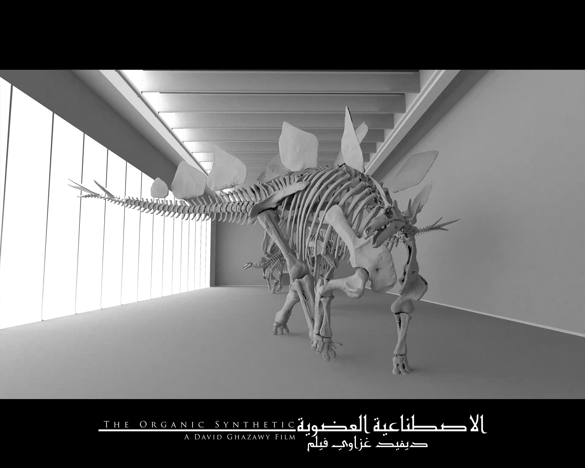 David Ghazawy - The Organic Synthetic Short Film